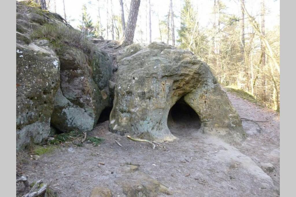 Le Repaire Des Belettes Vallee De Rabais Virton Exterior foto